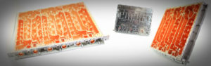 Integrated Polymer Resources